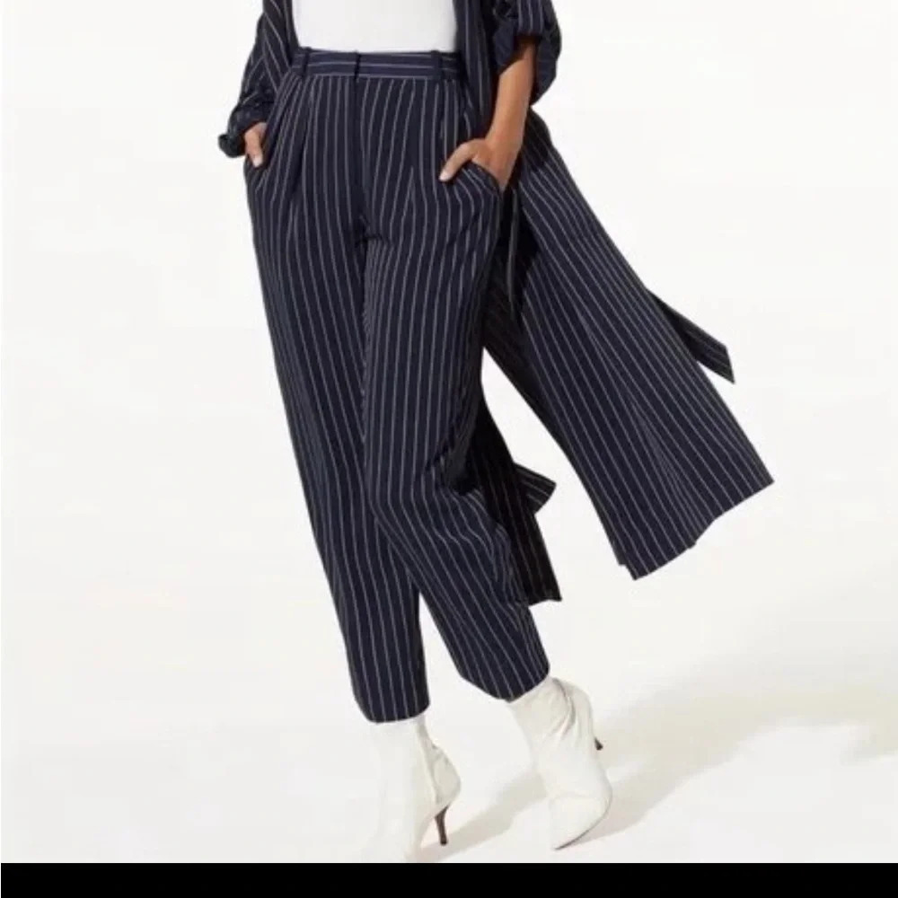 Aritzia Modesto vertical striped navy blue  pants with high‎ waist and pleating